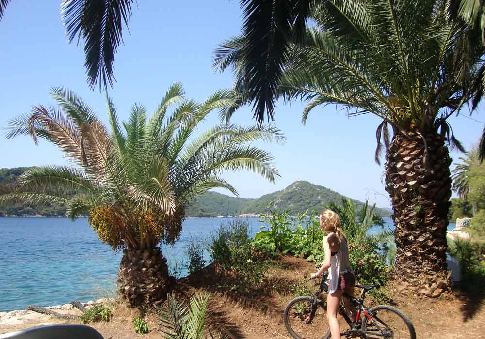 biking Mljet